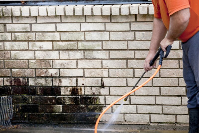 Brick Walkway Cleaning
