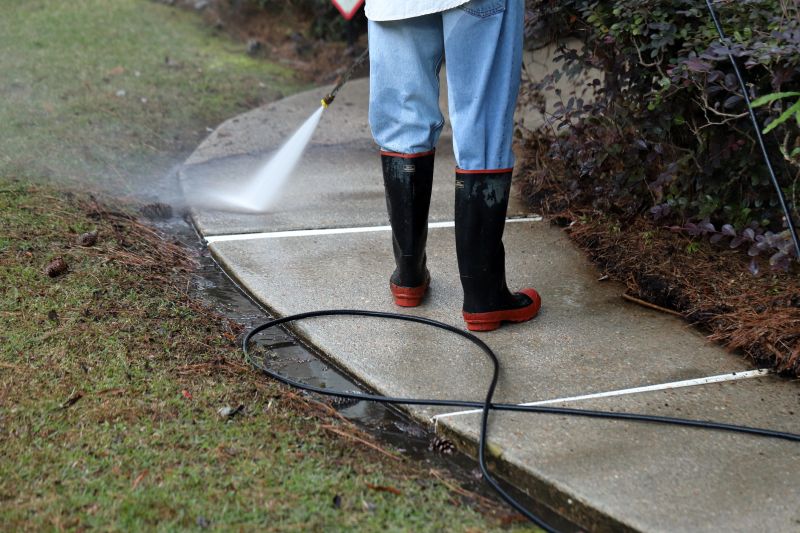 Driveway and Sidewalk Cleaning