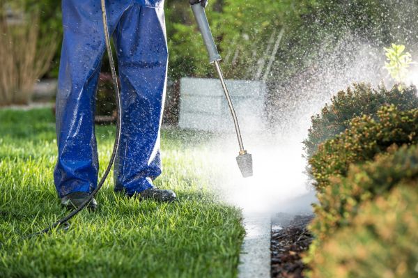 Curb Cleaning in Costa Mesa