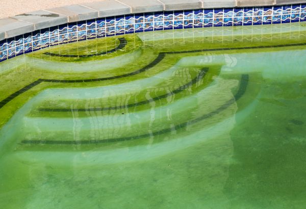 Pool Deck Algae Removal in Costa Mesa
