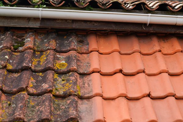 Industrial Roof Cleaning in Costa Mesa